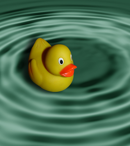 Rubber ducky